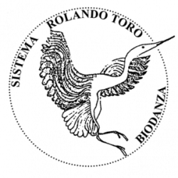 logo-reducido-copia-300x300